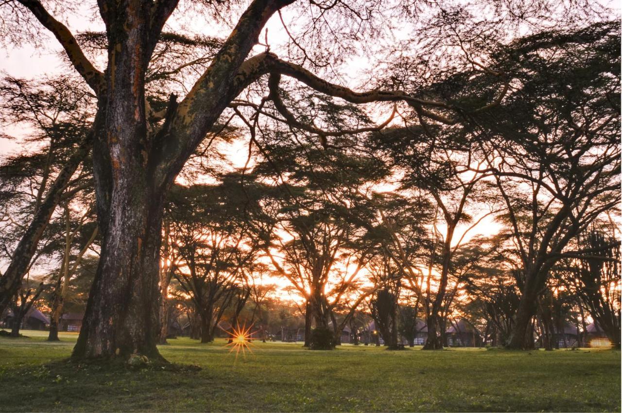 Lake Naivasha Sopa Resort Dış mekan fotoğraf